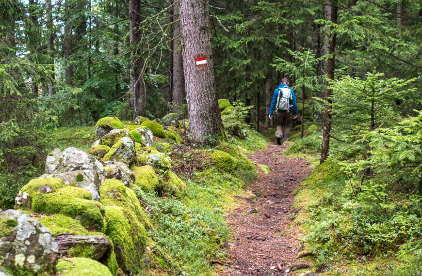 Komm mit in die Natur, komm mit Wandern