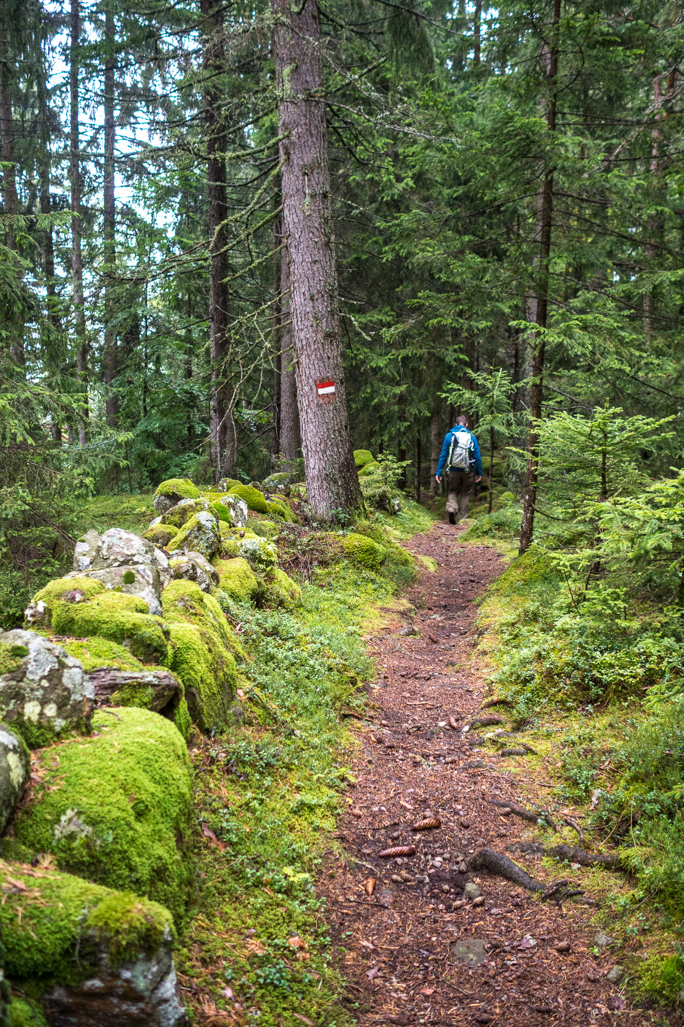 Komm mit in die Natur, komm mit Wandern